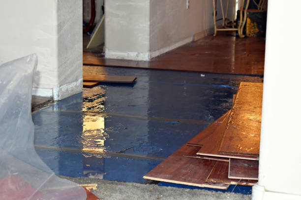Professional Basement Flood Cleanup technician working in Bernville, PA